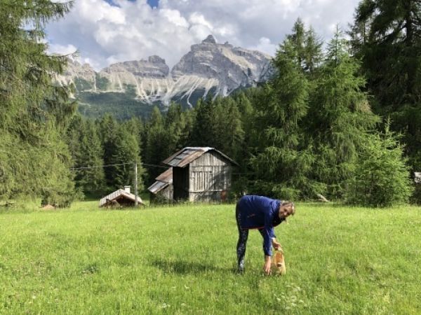 Sběr bylinek v Alpách