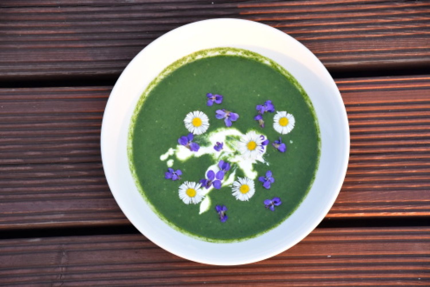 Kopřivová polévka