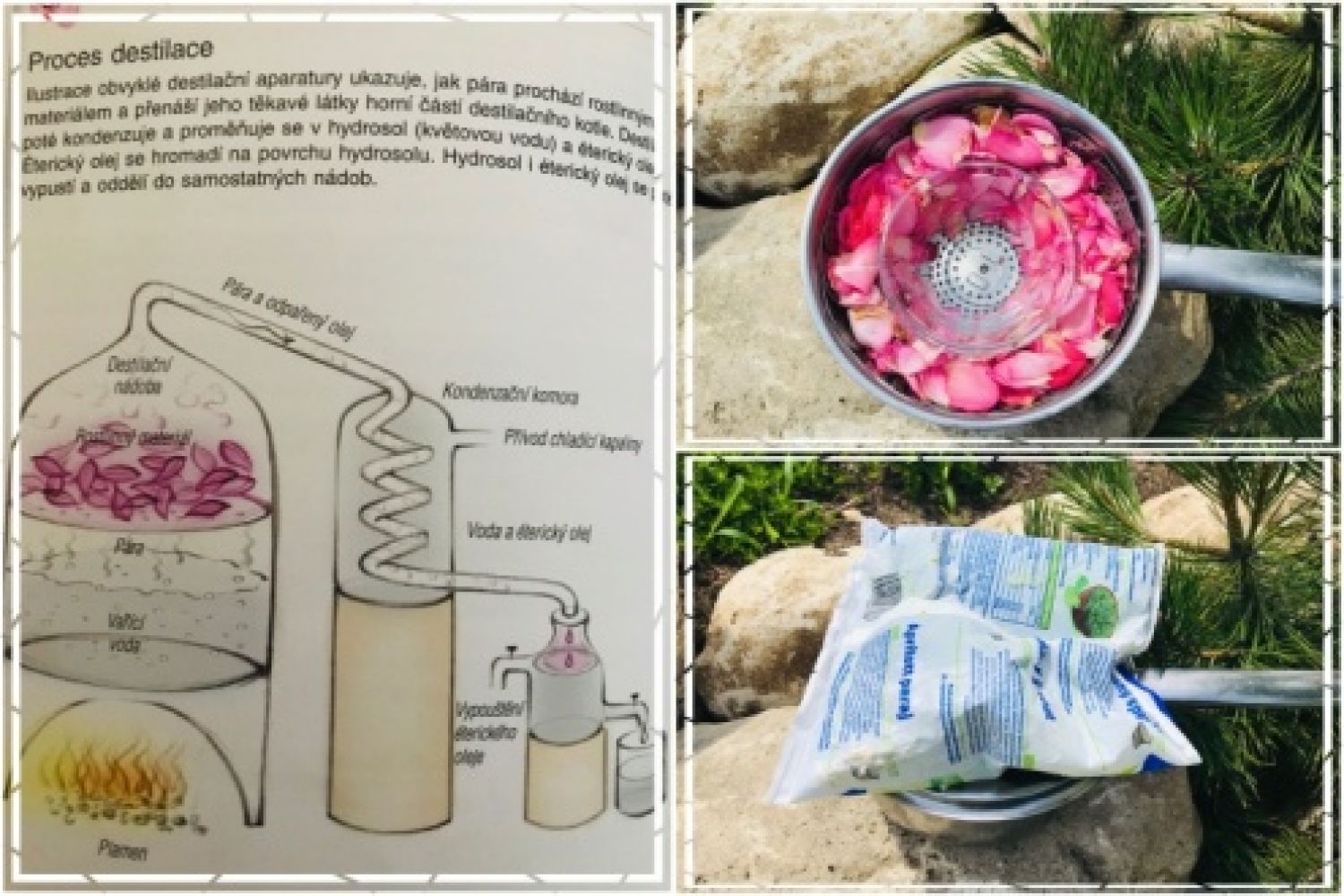 Květová voda = hydrolát