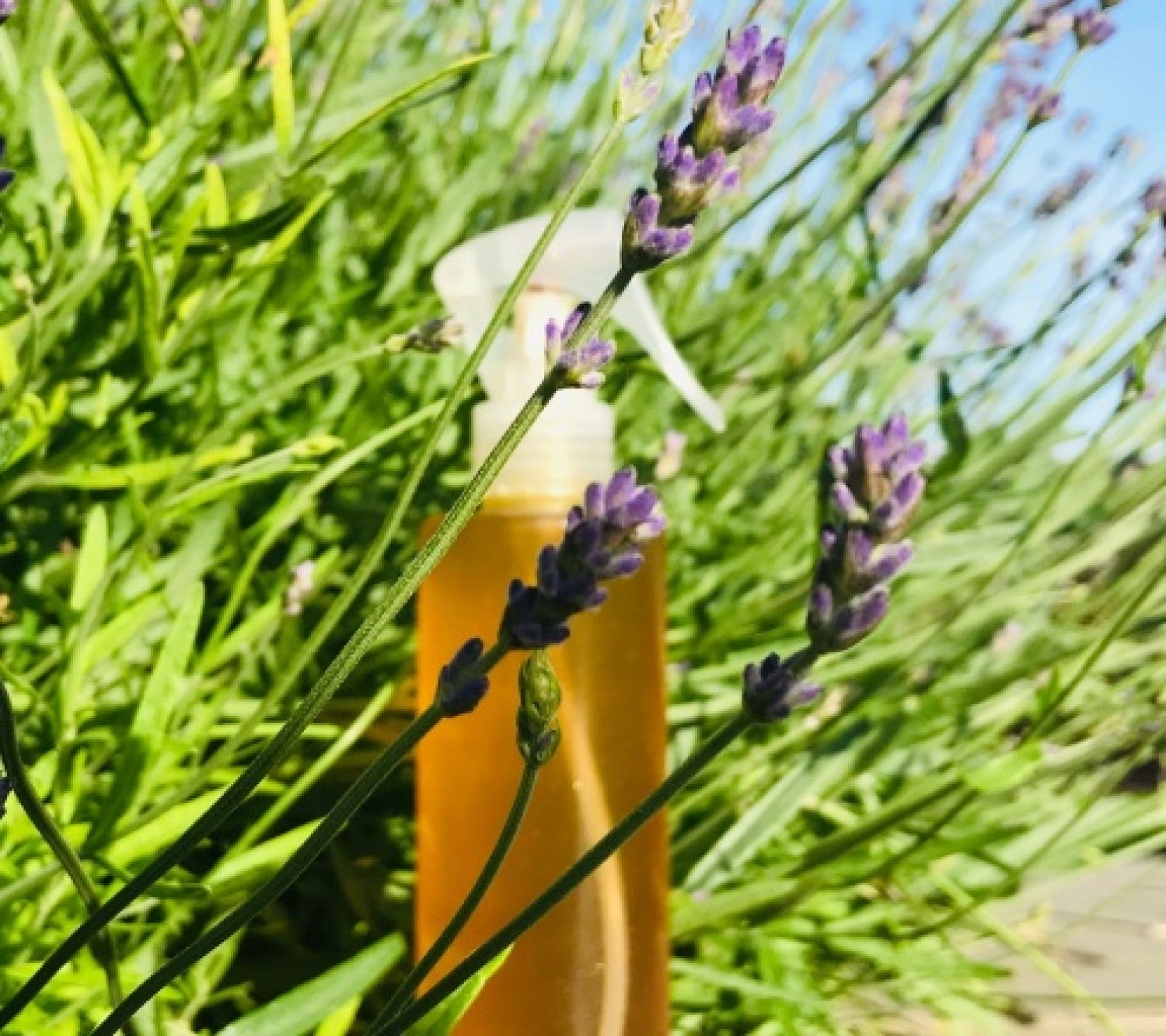 Přírodní repelent proti hmyzu